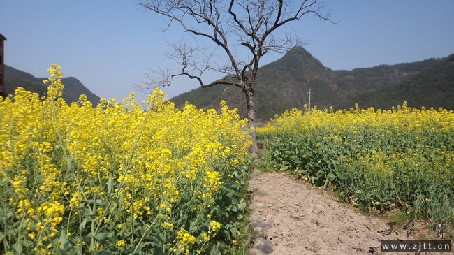 nEO_IMG_DSC00905.jpg