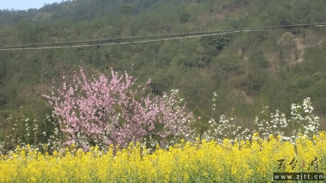 nEO_IMG_DSC00946.jpg