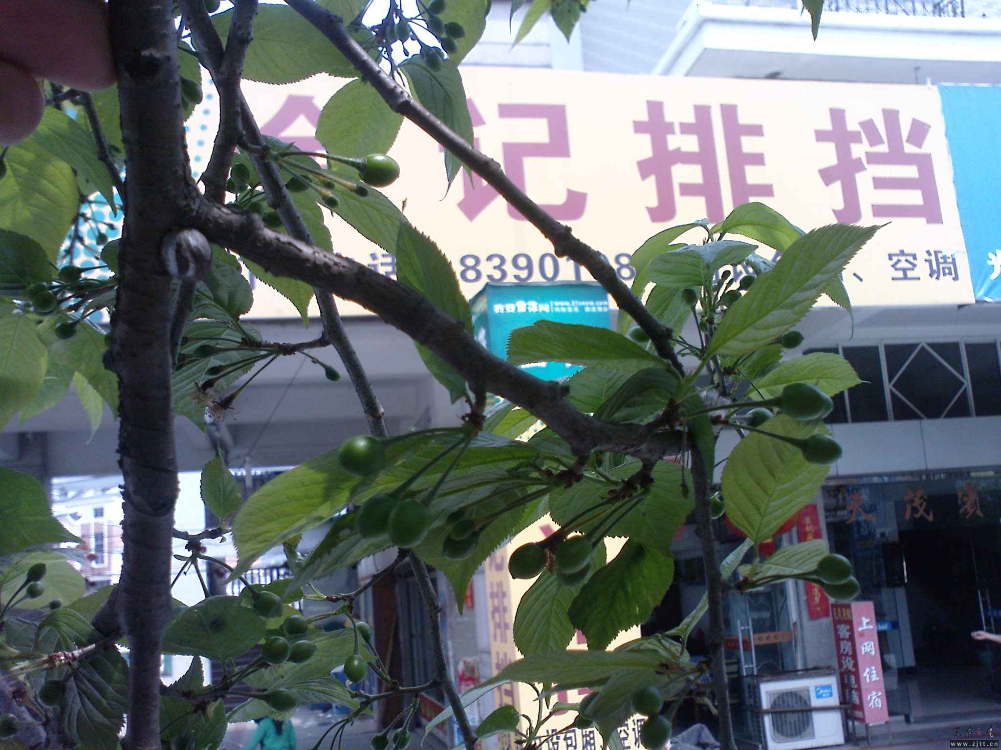 DSC00472.JPG