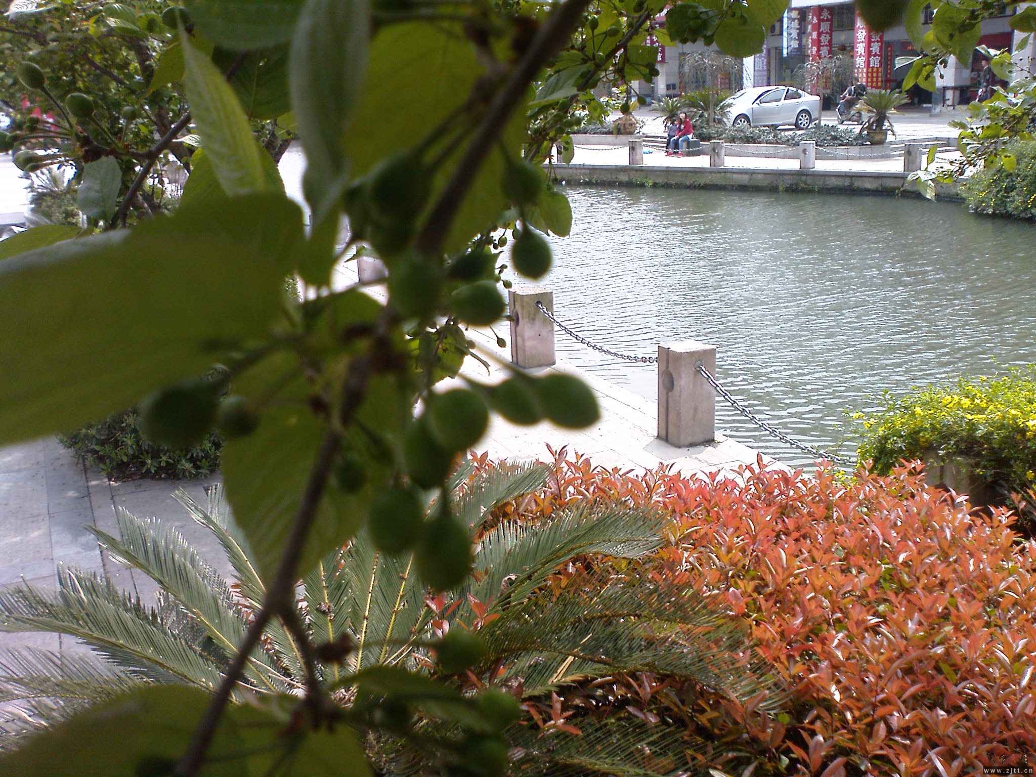 DSC00476.JPG