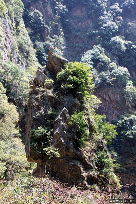 照片 102_副本.jpg