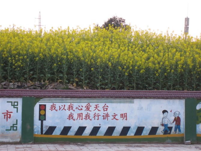 路边景色.jpg