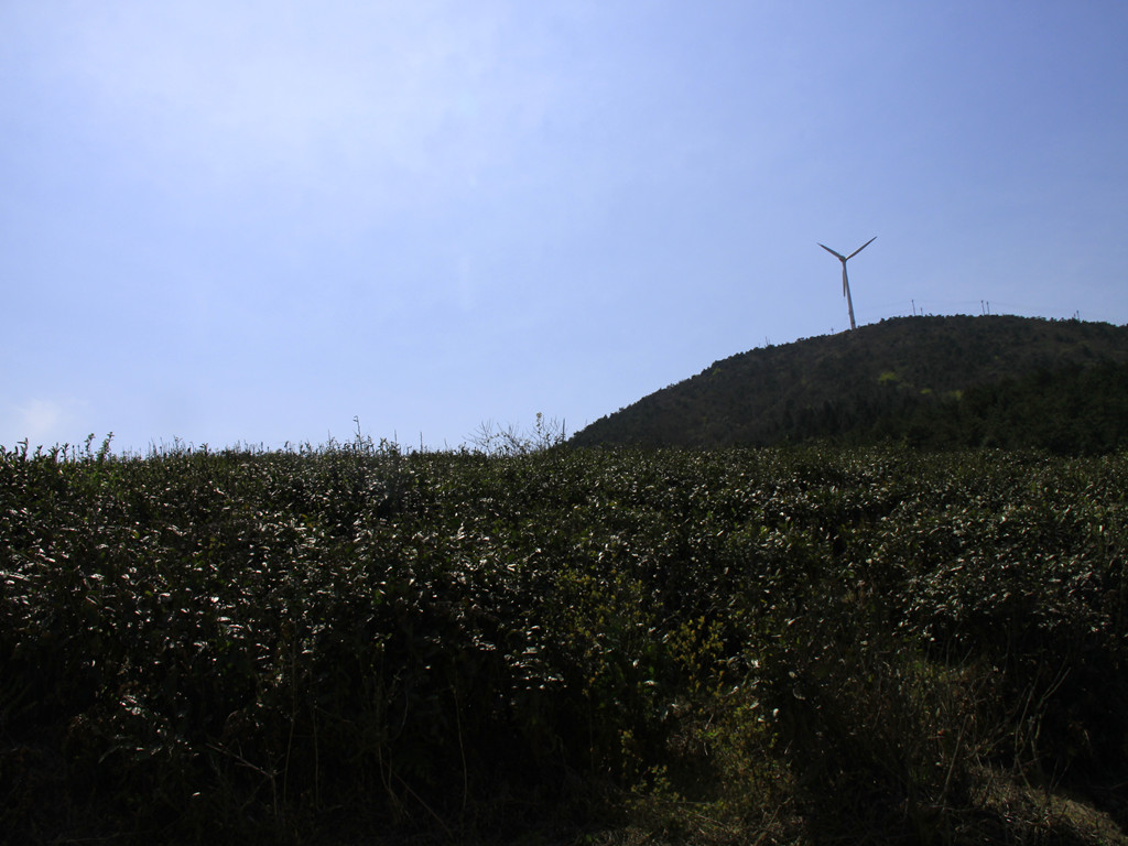 _MG_8077_副本.jpg