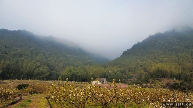 nEO_IMG_DSC00977.jpg
