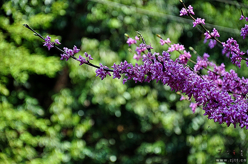 dsc_0031_副本.jpg