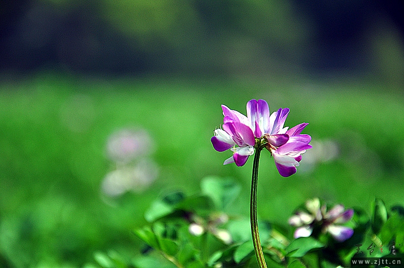 dsc_0047_副本.jpg