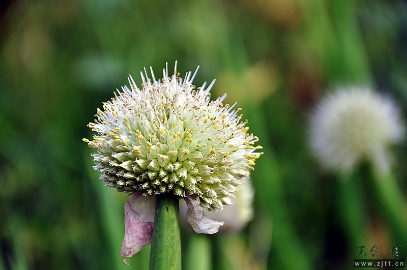 dsc_0186_副本.jpg