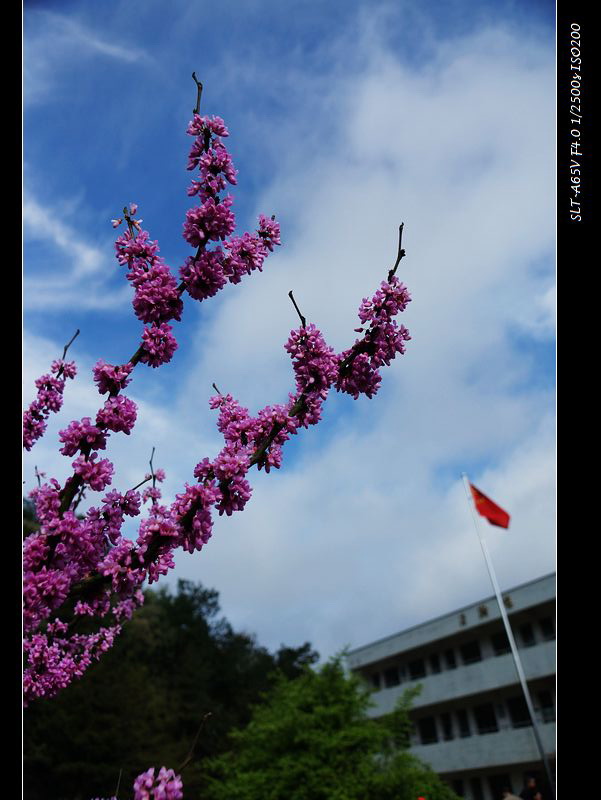 nEO_IMG_DSC07578.jpg
