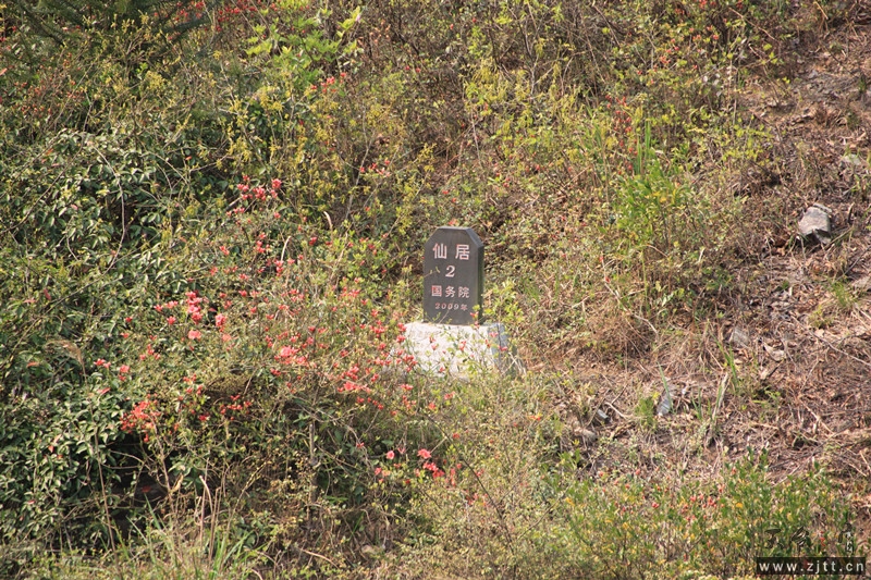 照片 233_副本.jpg