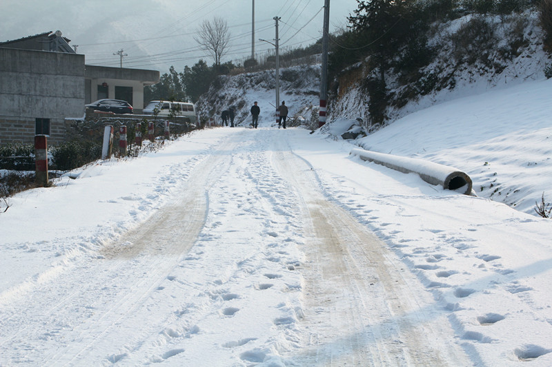 2011电大 399_副本.jpg