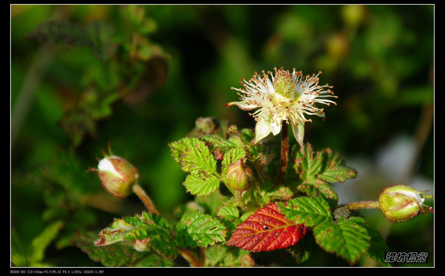 DSC_0014.jpg