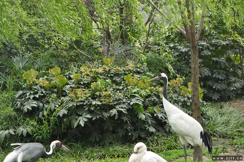 dsc_0040_副本.jpg