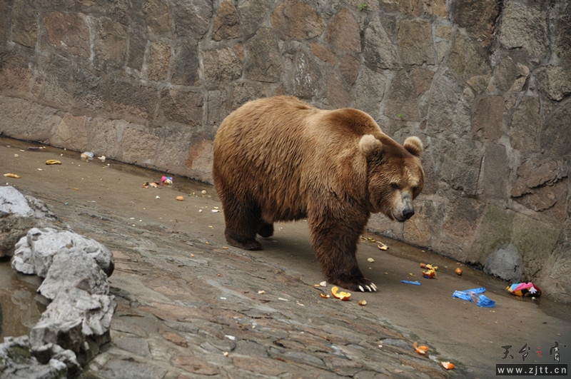 dsc_0090_副本.jpg