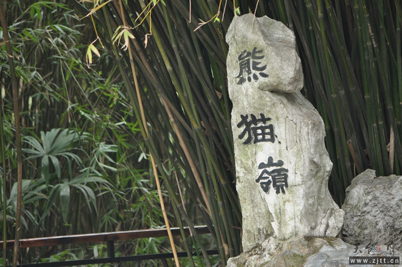 dsc_0092_副本.jpg