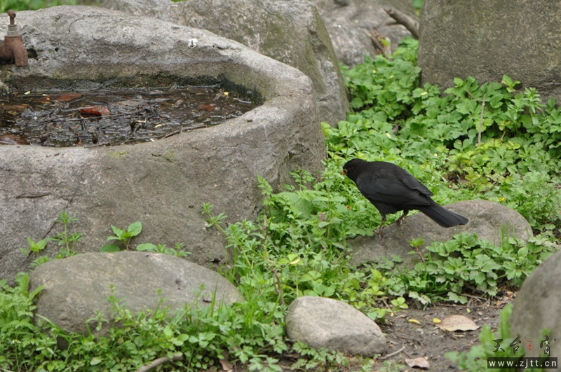 dsc_0122_副本.jpg