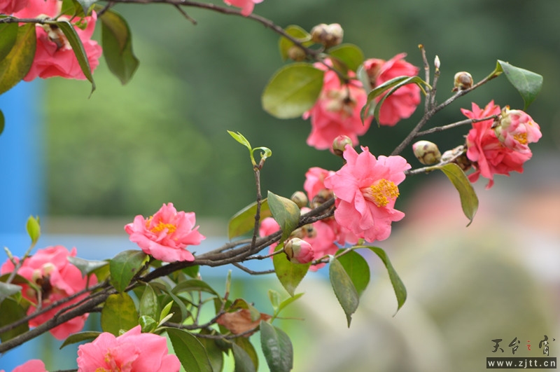 dsc_0143_副本.jpg