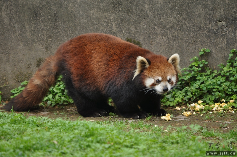dsc_0086_副本.jpg