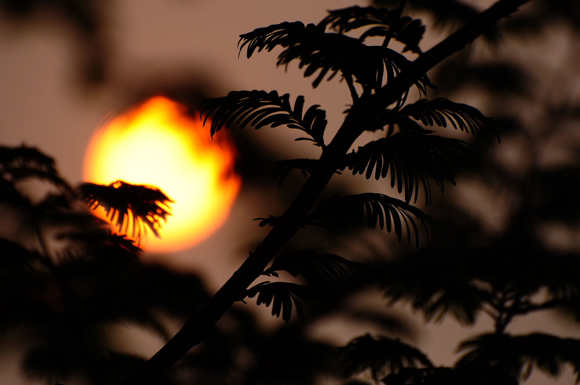 DSC_0174.jpg
