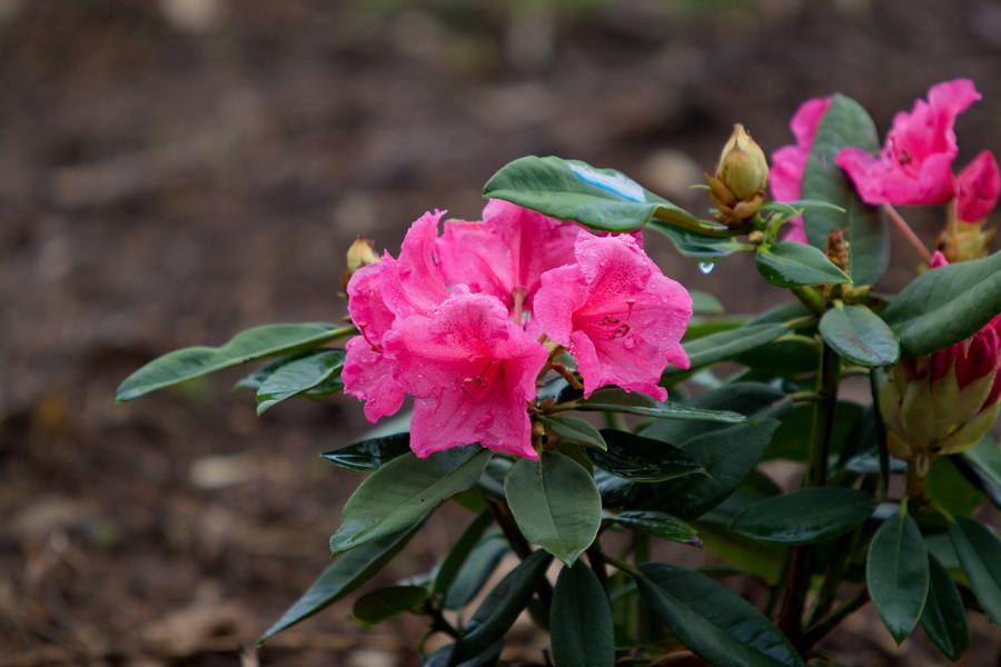 IMG_3604_缩小大小.jpg