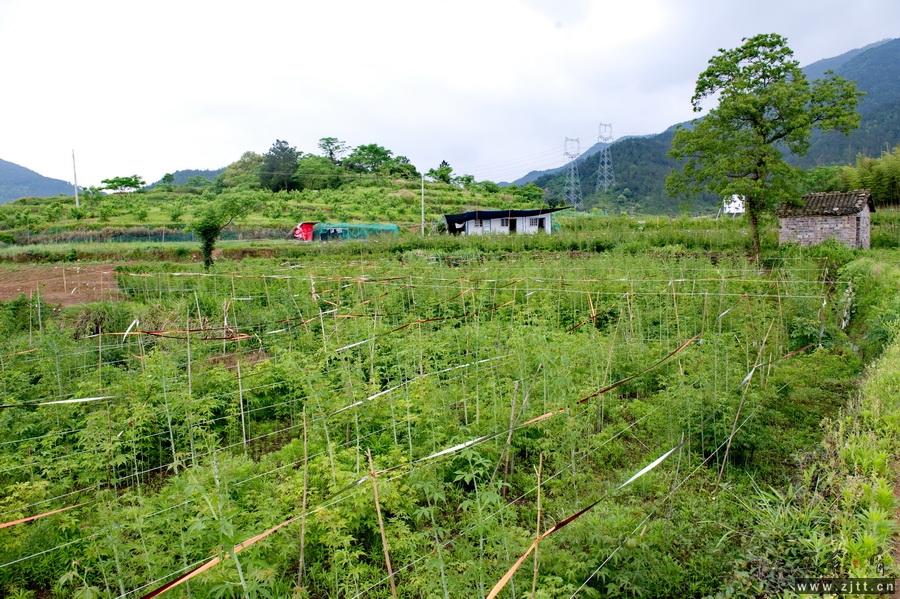 DSC_5614_缩小大小.jpg