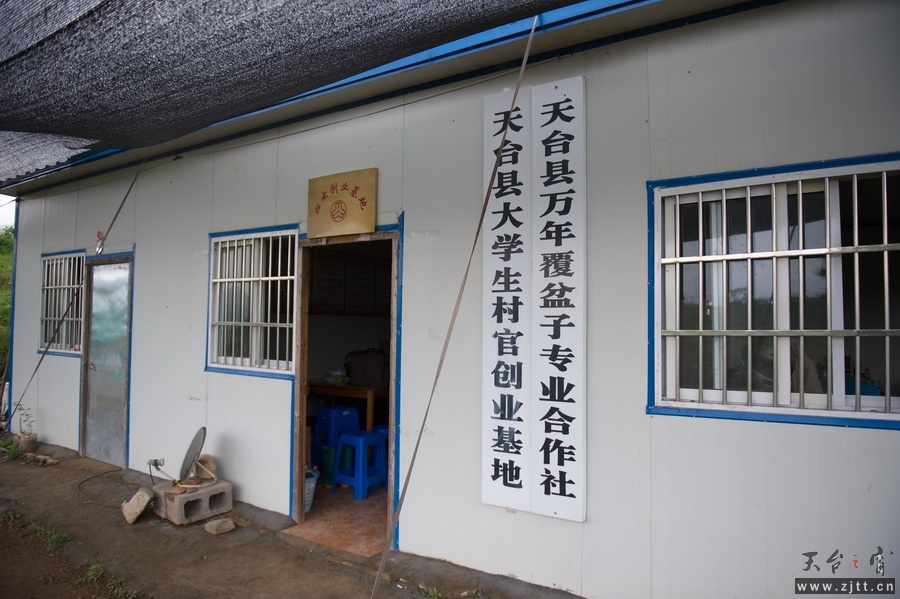 DSC_5640_缩小大小.jpg
