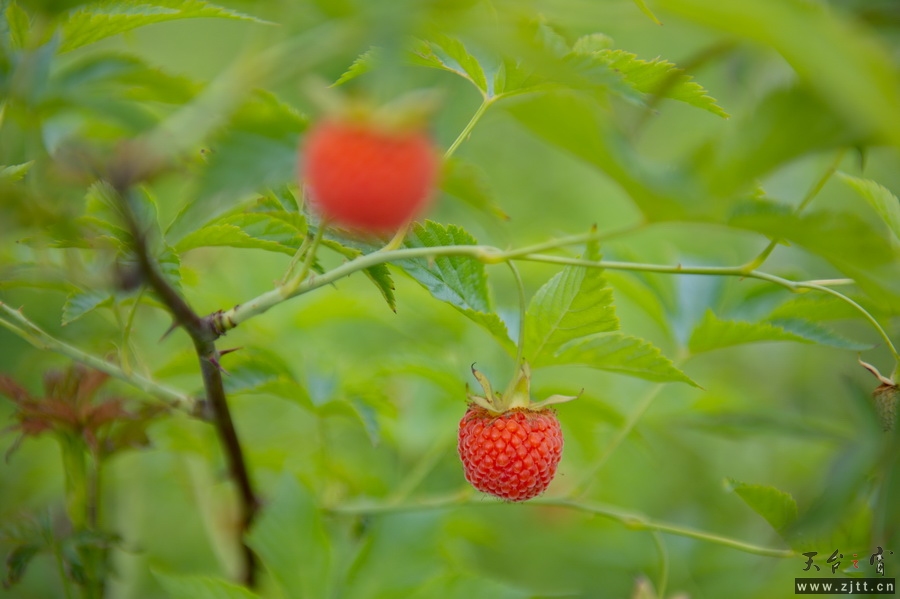DSC_5608_缩小大小.jpg