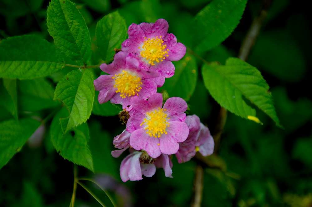 DSC_5846-1.jpg