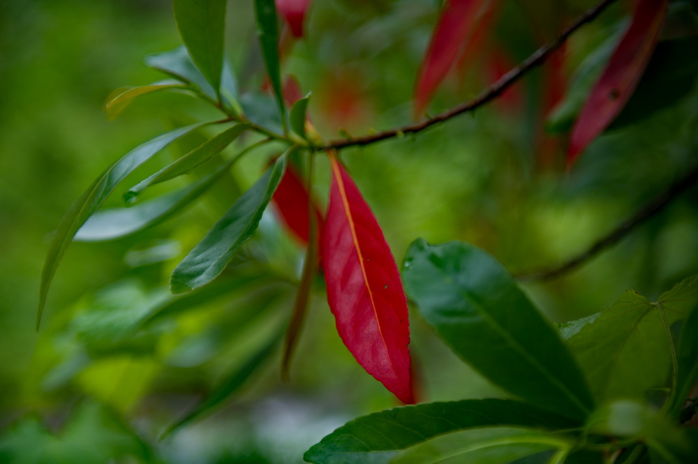 DSC_5869-1.jpg