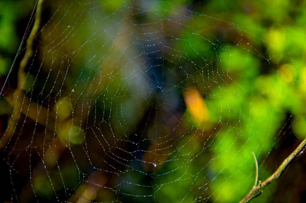 DSC_5871-1.jpg