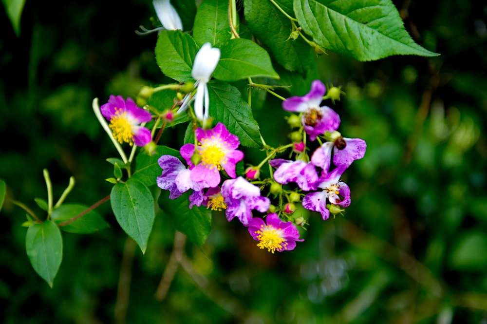 DSC_5872-1.jpg
