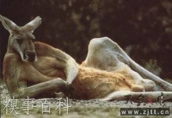 未命名22222.jpg