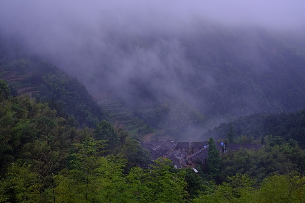 DSCF0173.jpg