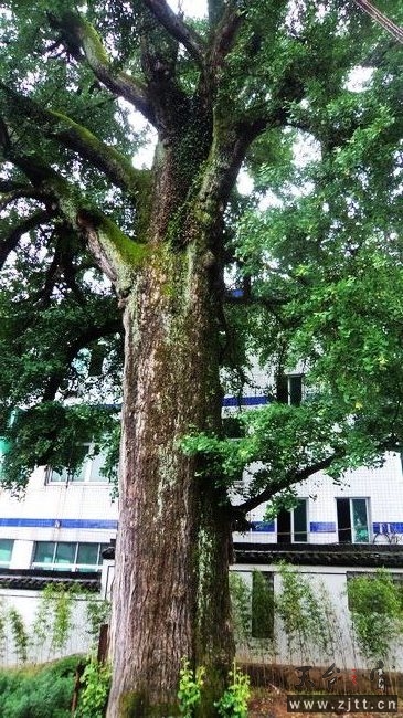 nEO_IMG_DSC01190.jpg