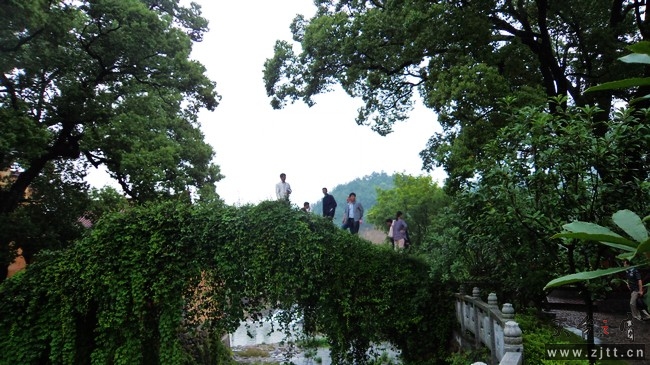 nEO_IMG_DSC01195.jpg