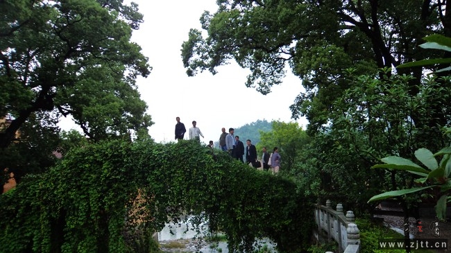 nEO_IMG_DSC01196.jpg