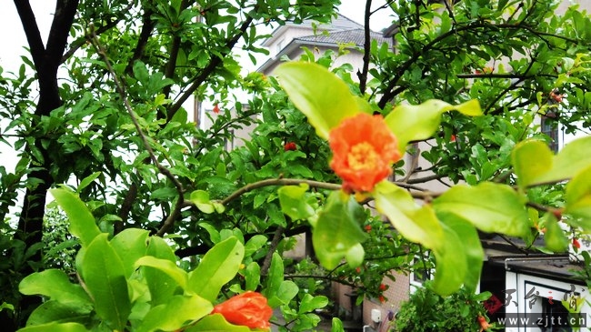 nEO_IMG_DSC01234.jpg