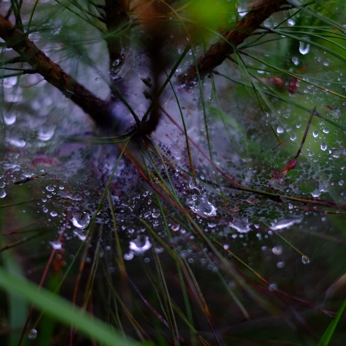 DSCF0260.jpg