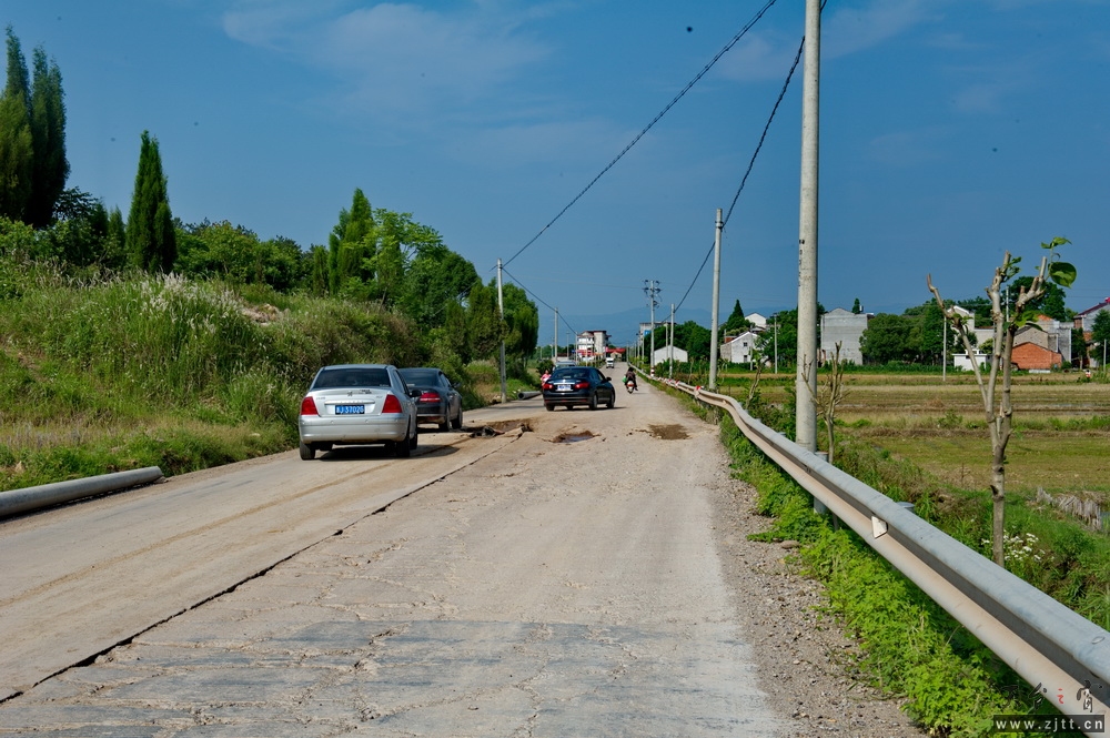 DSC_6960-1.jpg
