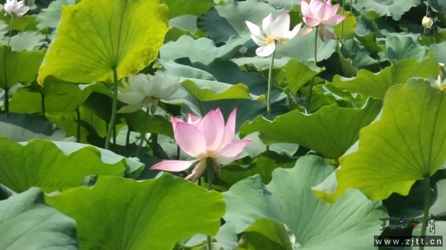 nEO_IMG_DSC01595.jpg