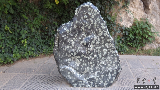 nEO_IMG_DSC01653.jpg