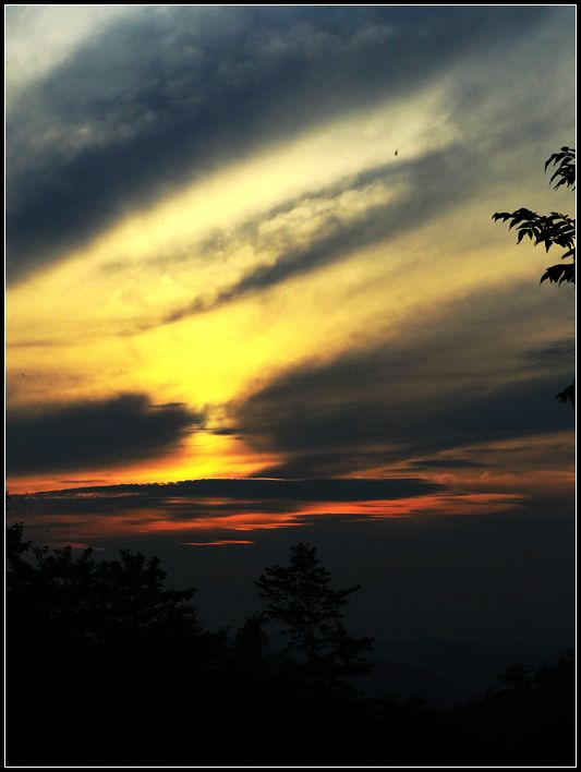 C25Q55201.jpg