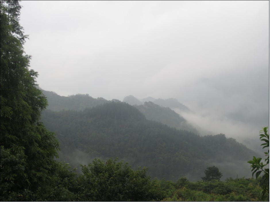 风景4.jpg
