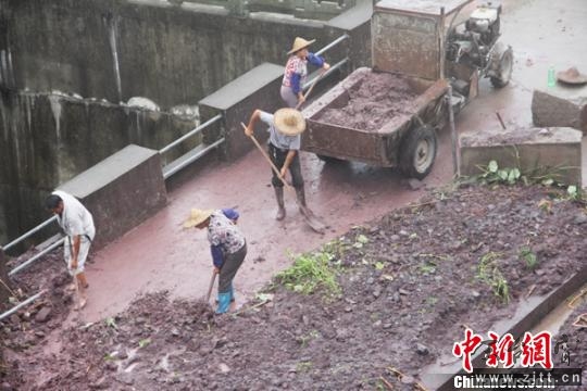 苏拉后遗症.jpg