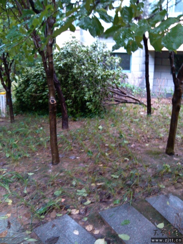 p7sb.jpg