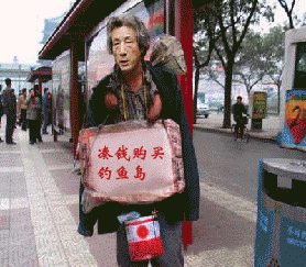 中国领土不容侵犯.gif