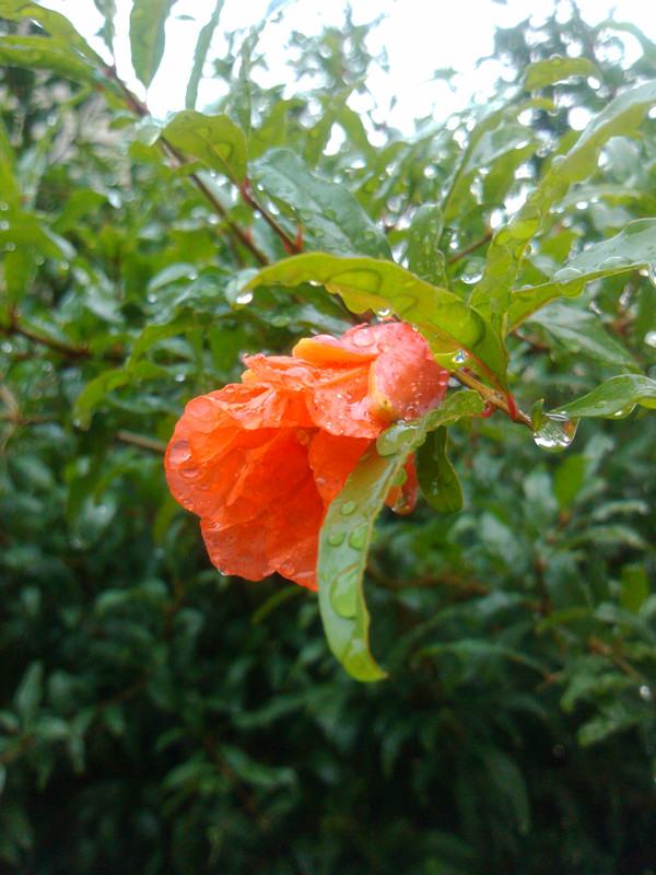 IMG_20120822_170343_副本.jpg