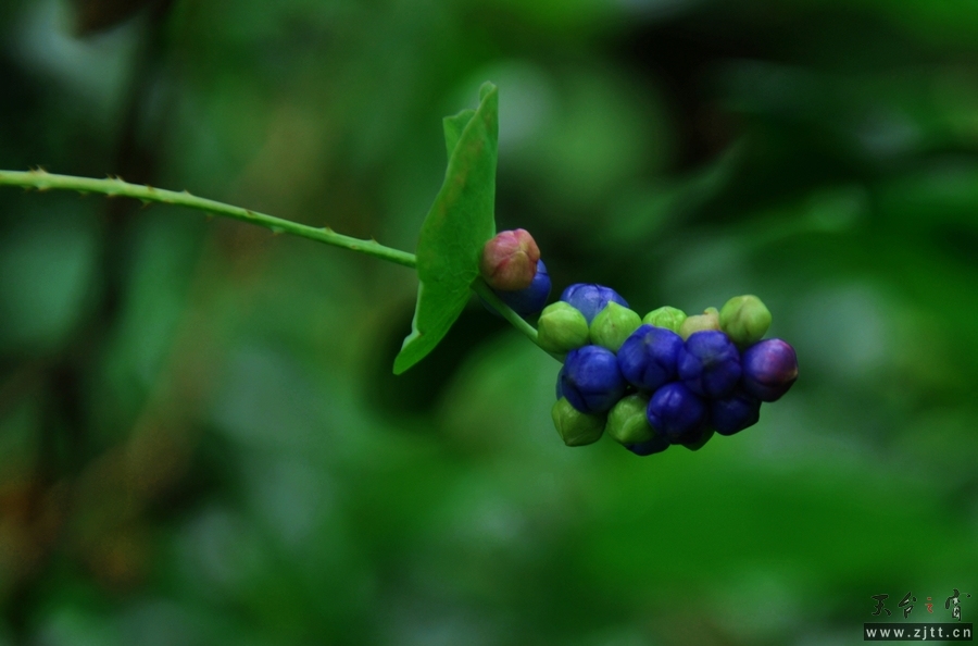DSC_0289.jpg