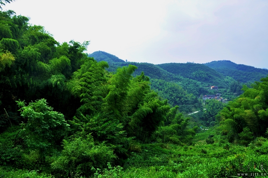 DSC_0285.jpg