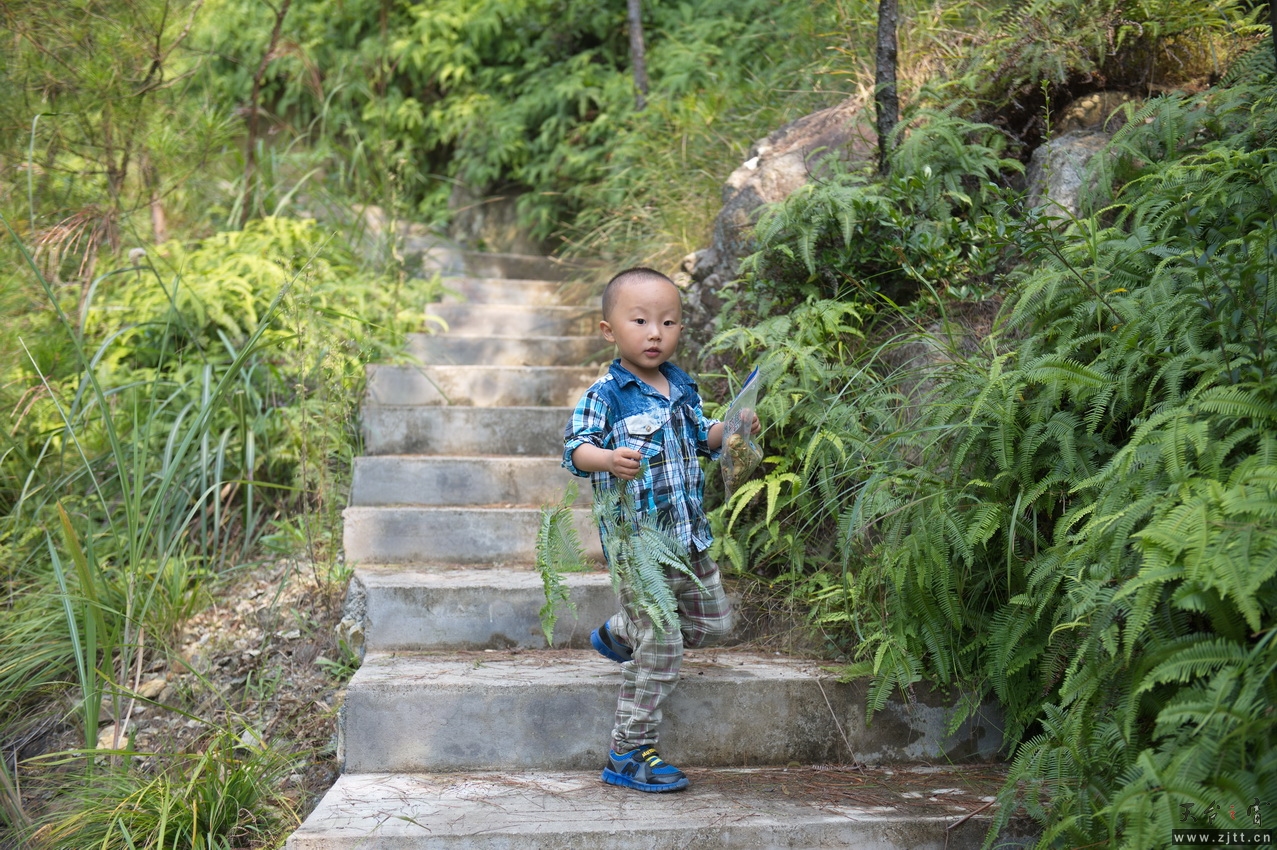 DSC_2660_缩小大小.jpg