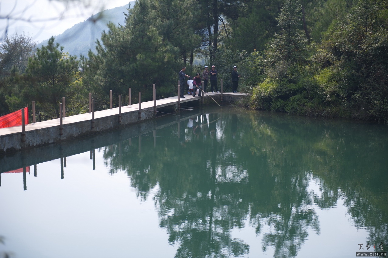 DSC_2704_缩小大小.jpg